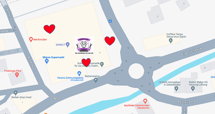 Kontaktieren Sie uns für professionelle Hundepflege in BasellandBild