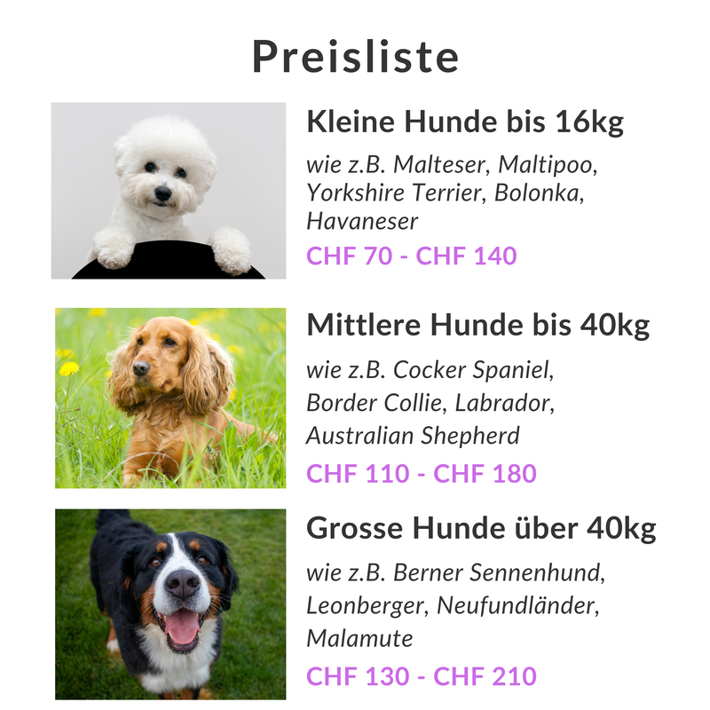 Preise für Hundepflege in Baselland | Gelterkinden HundesalonBild